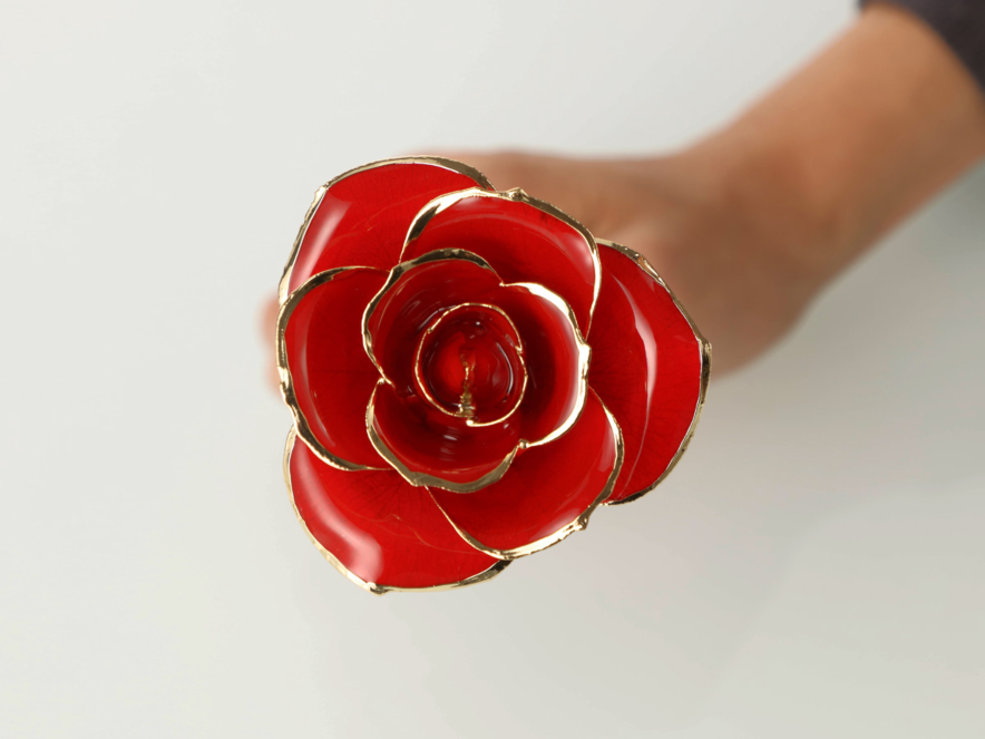 24K Gold Plated Rose Frejaproduct image #3