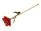 24K Gold Plated Rose Frejaproduct thumbnail #1